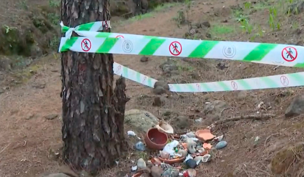 Rituales de santería de hasta 5.000 euros en Tenerife: denuncian sacrificios de animales ante menores